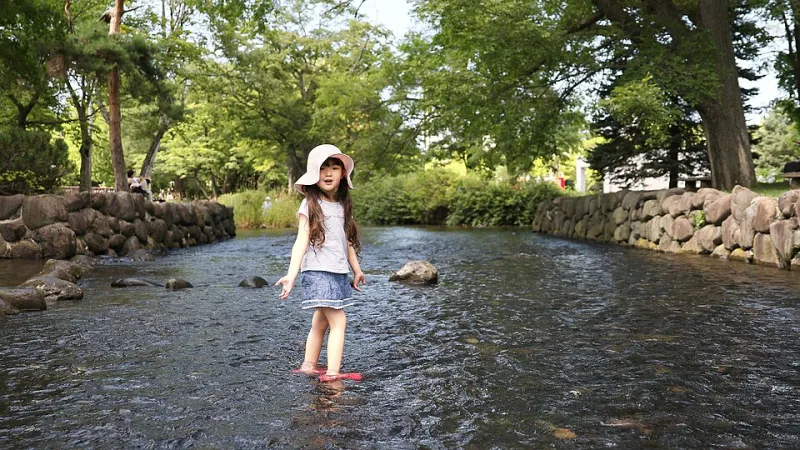 Little Bursts, Big Brains: The Case for the 5-Minute Play Session