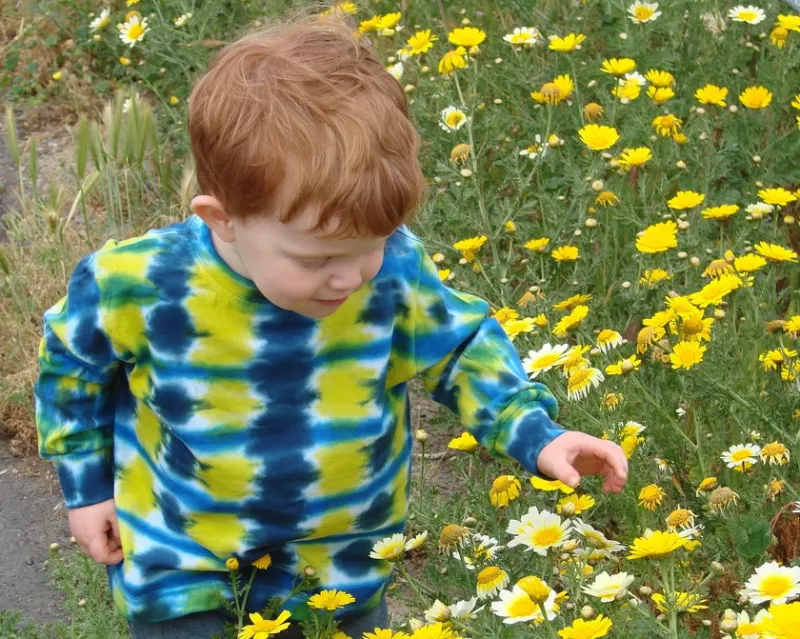 Ten Trail Games for Toddlers Who Think Hiking Means Three Feet of Walking